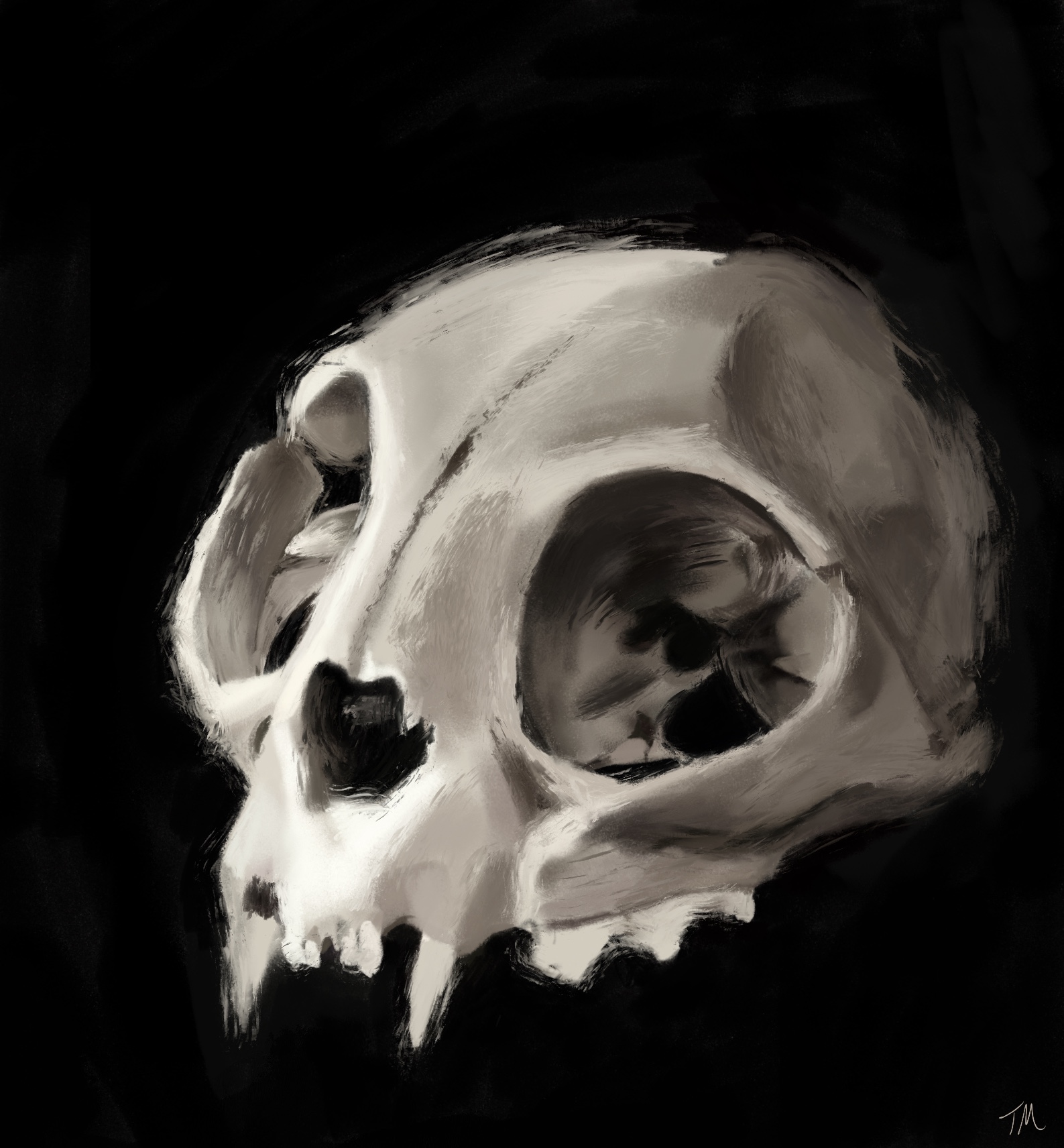 Monochrome painted skull on a black background.
